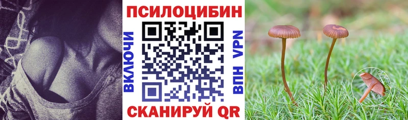 Купить  Скопин  Галлюциногенные грибы ЛСД 